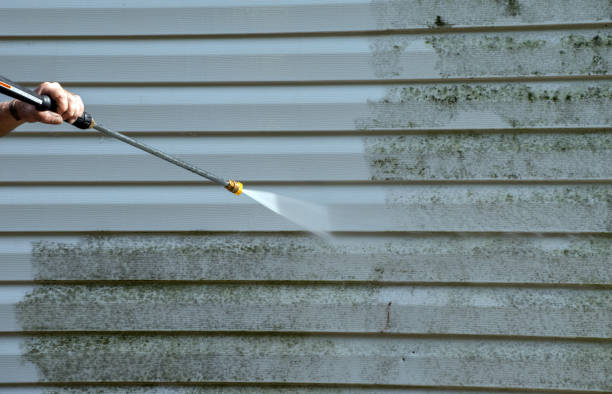 Best Warehouse Cleaning  in Third Lake, IL